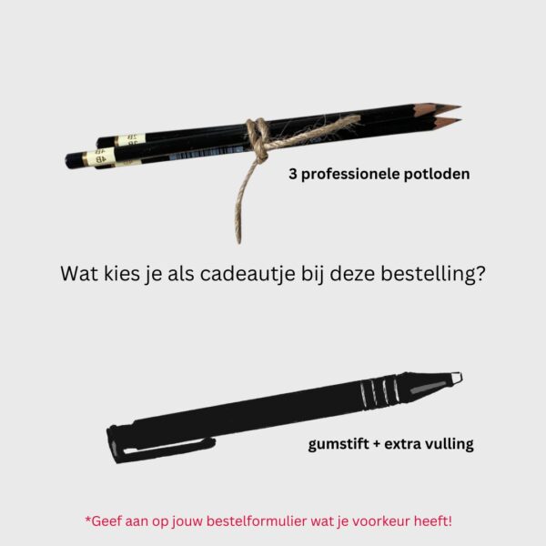 Boek + Werkboek + ZoekerPlus pakket - Afbeelding 7
