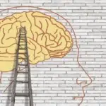 Illustratie van een ladder die zich uitstrekt tot een transparant hoofdsilhouet met zichtbare hersenen tegen een bakstenen muurachtergrond.
