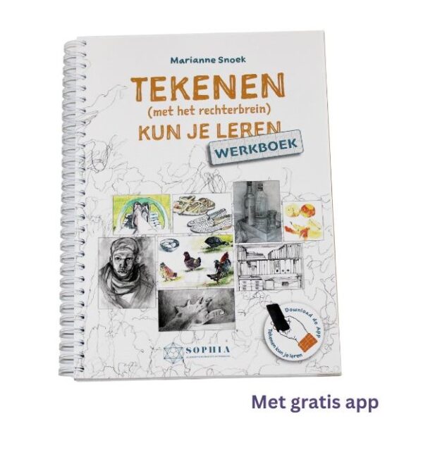Rechterbrein Totaal Lespakket - Afbeelding 6