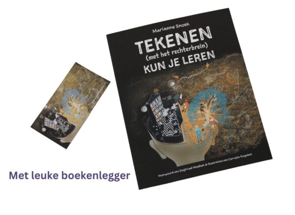 Rechterbrein Totaal Lespakket - Afbeelding 4