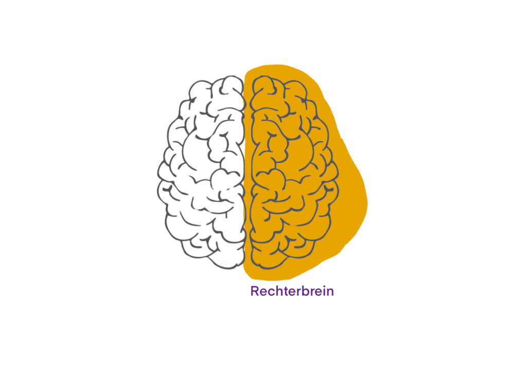 Leren tekenen met het rechterbrein